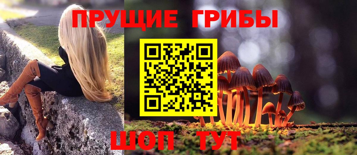 Галлюциногенные грибы Psilocybe Сатка